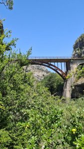 Mehr über den Artikel erfahren 14.07. Bioce/ Kolasin/ Podgorica